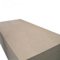 Decorative natural cedar plywood beech commercial plywood