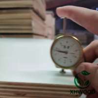 Double sides Melamine Laminated Plywood