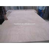 Linyi mahogany wood price/poplar core MR glue plywood/1220x2440mm okoume plywood