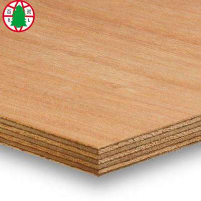 Marine plywood 18mm standard size marine plywood