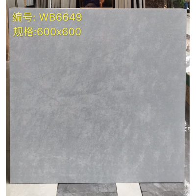 China hot selling  ceramic  tiles 600*600mm for home using